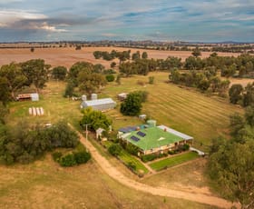 Rural / Farming commercial property sold at 3946 Olympic Hwy "BROOKFIELD" Henty NSW 2658