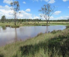 Rural / Farming commercial property sold at Lot 11 Hendon Victoria Hill Road Pratten QLD 4370