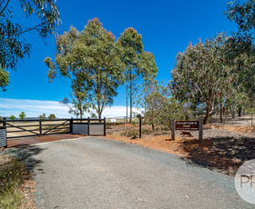 Rural / Farming commercial property sold at 909 Elizabeth Avenue Gregadoo NSW 2650