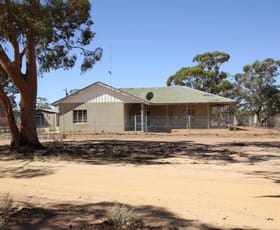 Rural / Farming commercial property sold at 153 Poole Road Warralakin WA 6421