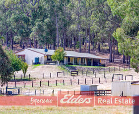 Rural / Farming commercial property sold at 2 Hamilton Street Donnybrook WA 6239