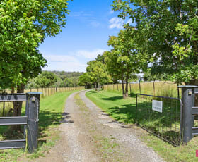 Rural / Farming commercial property sold at 145 Hanwood Road Moonbi NSW 2353