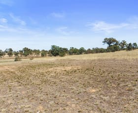 Rural / Farming commercial property sold at Lot 20 Axedale Goornong Road Axedale VIC 3551