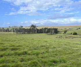 Rural / Farming commercial property sold at B/57 Lightwood Hills Road Beaconsfield TAS 7270