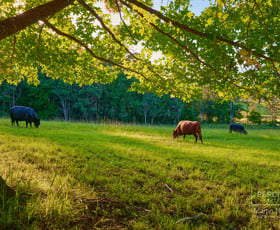 Rural / Farming commercial property sold at 51 North Branch Road Upsalls Creek NSW 2439