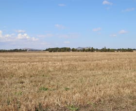 Rural / Farming commercial property sold at Lot 1 McKenzies Road Clunes VIC 3370