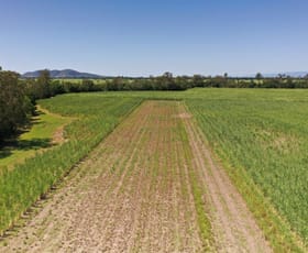 Rural / Farming commercial property sold at 50950 Bruce Highway Ingham QLD 4850