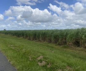 Rural / Farming commercial property for sale at 249 Hills Road Welcome Creek QLD 4670
