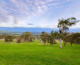 Rural / Farming commercial property for sale at - Timboon-Colac Road Scotts Creek VIC 3267