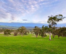 Rural / Farming commercial property sold at - Timboon-Colac Road Scotts Creek VIC 3267
