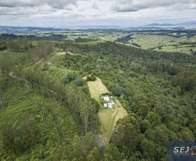 Rural / Farming commercial property sold at 567 Devils Pinch Rd Toora VIC 3962