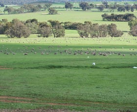 Rural / Farming commercial property for sale at Kalmer Pastoral Co, Westdale and Lupton Road Beverley WA 6304