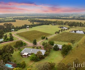 Rural / Farming commercial property sold at 447 Old North Road Pokolbin NSW 2320