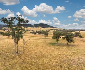 Rural / Farming commercial property sold at 68 MILBURN CREEK ROAD Woodstock NSW 2793