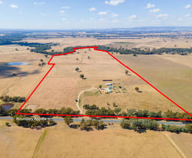 Rural / Farming commercial property sold at 'Billabong Park'/1591 Walbundrie Rd Walla Walla NSW 2659