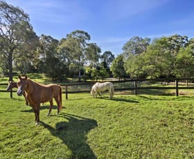 Rural / Farming commercial property sold at F3633a Princes Highway East Lynne NSW 2536