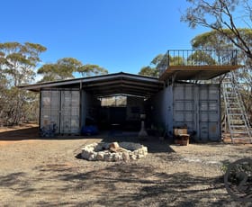 Rural / Farming commercial property sold at Section 174 Bower Boundary Road Bower SA 5374