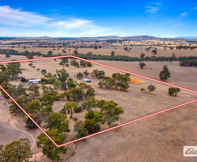 Rural / Farming commercial property sold at 229 Wattle Gully Road Great Western VIC 3374