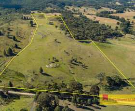 Rural / Farming commercial property for sale at 318 Doughertys Junction Road Mudgee NSW 2850