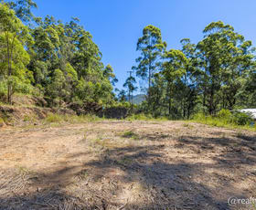 Rural / Farming commercial property sold at 951 Upper Buckrabendinni Road Buckra Bendinni NSW 2449