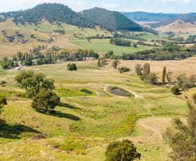 Rural / Farming commercial property sold at 4181 Murray Valley Highway Berringama VIC 3691