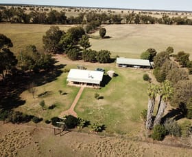 Rural / Farming commercial property sold at 'Elva Grange' 223 Ellis Road Gilgandra NSW 2827