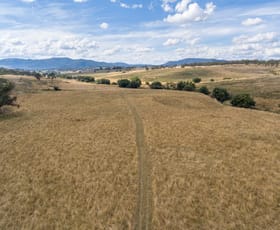 Rural / Farming commercial property sold at 665 Carlwood Road O'connell NSW 2795
