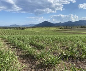 Rural / Farming commercial property for sale at Lot 21 241 Wintons Road Yalboroo QLD 4741