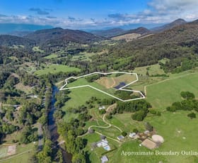 Rural / Farming commercial property for sale at Lot 2 Aults Road Uki NSW 2484
