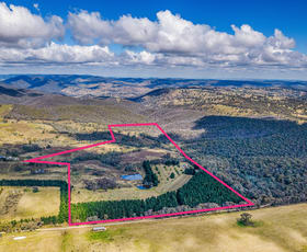 Rural / Farming commercial property sold at 499 Razorback Road Running Stream NSW 2850