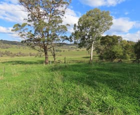 Rural / Farming commercial property sold at Buckandor/572 Tablelands Road Red Range NSW 2370