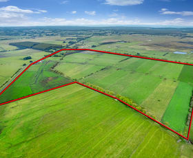 Rural / Farming commercial property sold at 170 Swan Marsh-Irrewillipe Road Swan Marsh VIC 3249