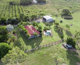 Rural / Farming commercial property sold at 30 Paul James Drive Nome QLD 4816