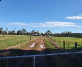 Rural / Farming commercial property sold at 339 Back Creek Rd Pipers River TAS 7252