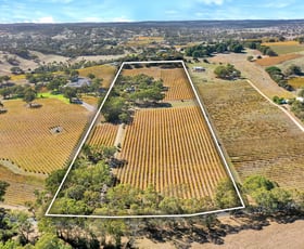 Rural / Farming commercial property sold at 103 Long Gully Road Angaston SA 5353