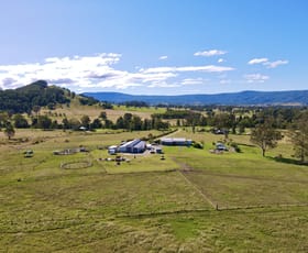 Rural / Farming commercial property sold at 313 Salisbury Road Dungog NSW 2420
