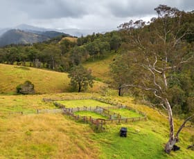 Rural / Farming commercial property sold at 214 Eaglehawk Trail Yarrowitch NSW 2354