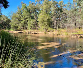 Rural / Farming commercial property sold at Beveridges Road Baradine NSW 2396