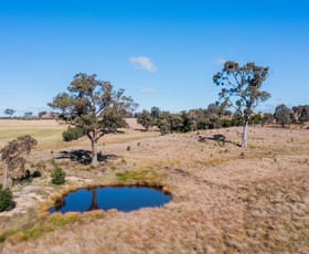 Rural / Farming commercial property sold at 2603 Windellama Road Goulburn NSW 2580
