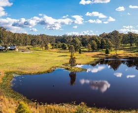 Rural / Farming commercial property for sale at 159 Bull Hill Road Tinonee NSW 2430