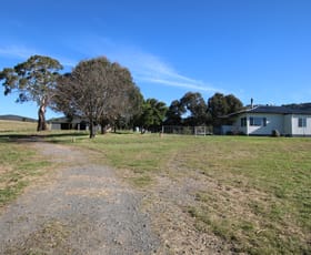 Rural / Farming commercial property sold at 1303 Corrowong Road Corrowong NSW 2633