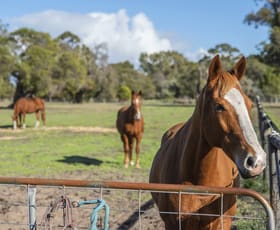 Rural / Farming commercial property sold at 216 Ludlow Road North Forrest Beach WA 6271