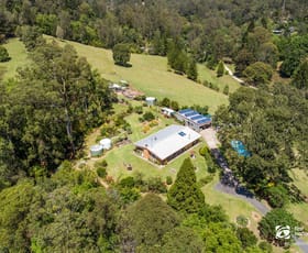 Rural / Farming commercial property for sale at 260 Rowlands Creek Road Rowlands Creek NSW 2484