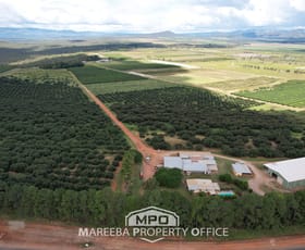 Rural / Farming commercial property for sale at 1463 Mareeba-Dimbulah Road Arriga QLD 4880