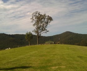 Rural / Farming commercial property sold at Lot 90 Connollys Creek Road Knorrit Flat NSW 2424
