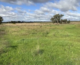 Rural / Farming commercial property sold at 77R Truelay Block 3 Westella Rd Wongarbon NSW 2831