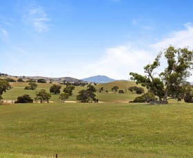 Rural / Farming commercial property sold at Spring Flat Road Crowlands VIC 3377