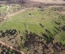 Rural / Farming commercial property for sale at Adams Road Slaty Creek VIC 3477