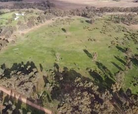 Rural / Farming commercial property sold at 0 Adams Road Slaty Creek VIC 3477