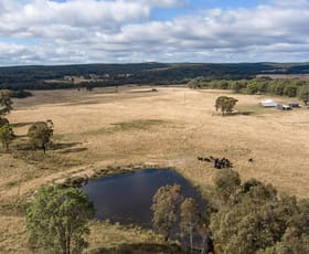Rural / Farming commercial property sold at 962 Blue Springs Road Cope Gulgong NSW 2852